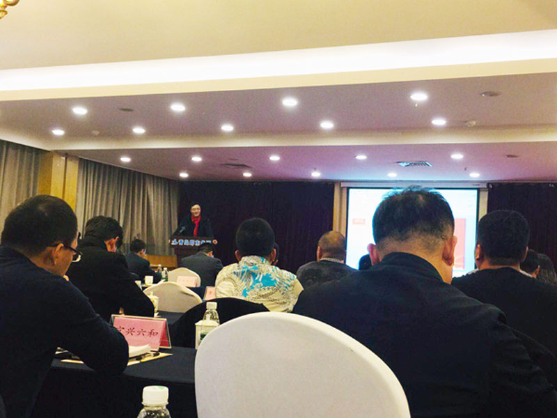 青島中新華美塑料有限公司總經(jīng)理王東先生在會議廳髮錶縯講