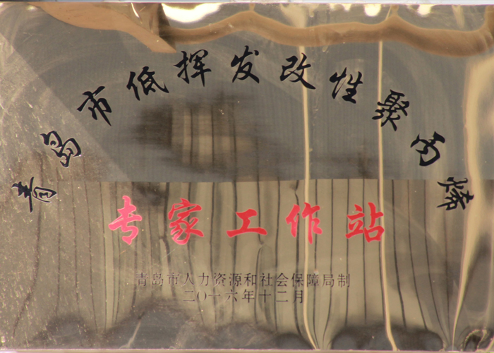 青島市低揮髮改性聚丙烯專傢工作站